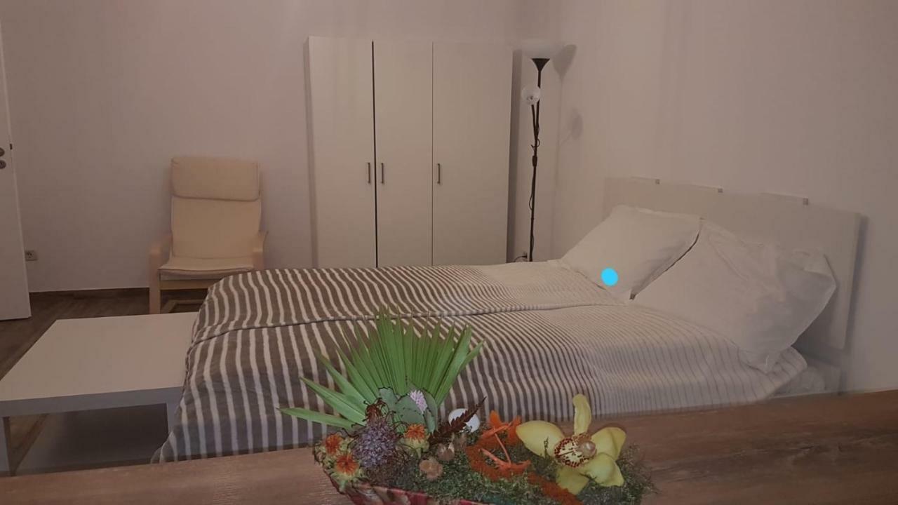 Bsv Accomodation Appartement Timişoara