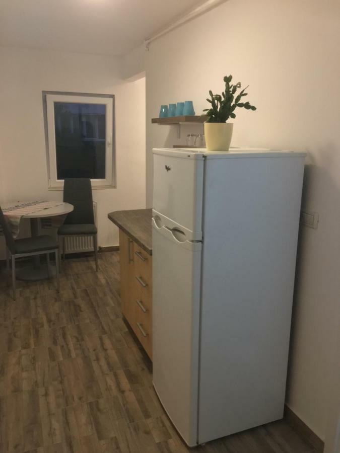 Bsv Accomodation * Timişoara